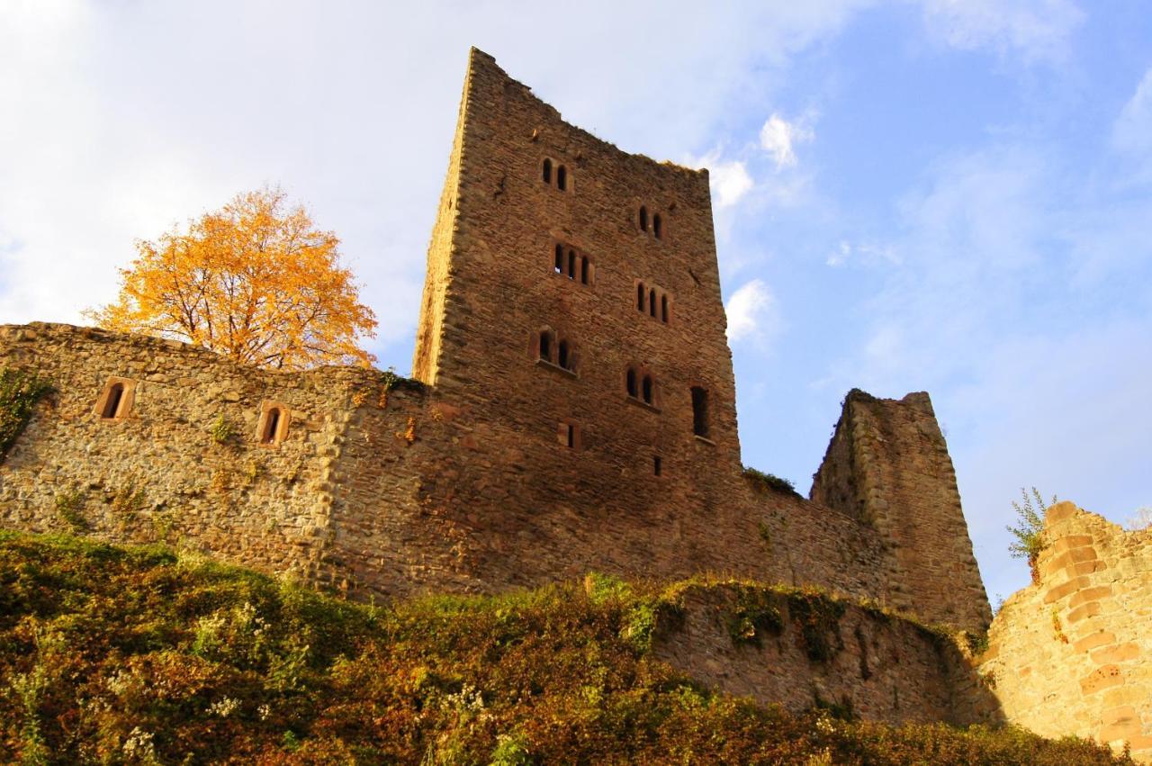 Schauenburgblick Leilighet Oberkirch  Eksteriør bilde